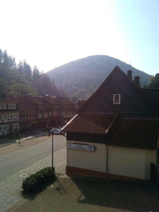 Hotel Bergschlosschen Zorge Exteriör bild