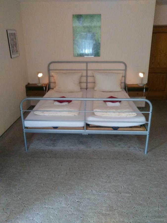Hotel Bergschlosschen Zorge Exteriör bild