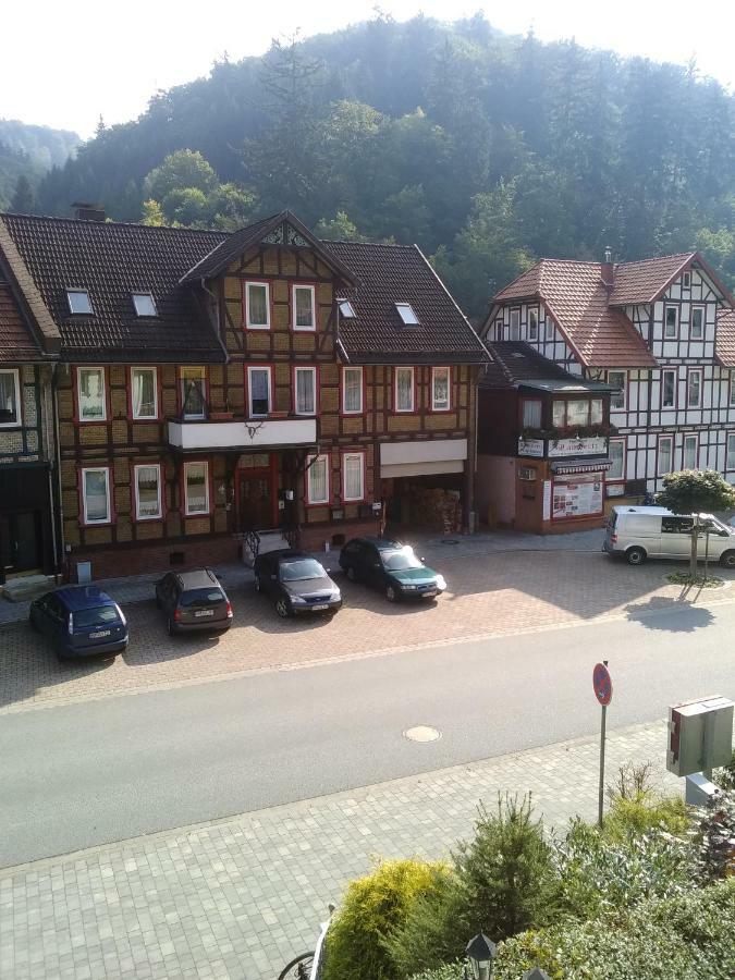 Hotel Bergschlosschen Zorge Exteriör bild